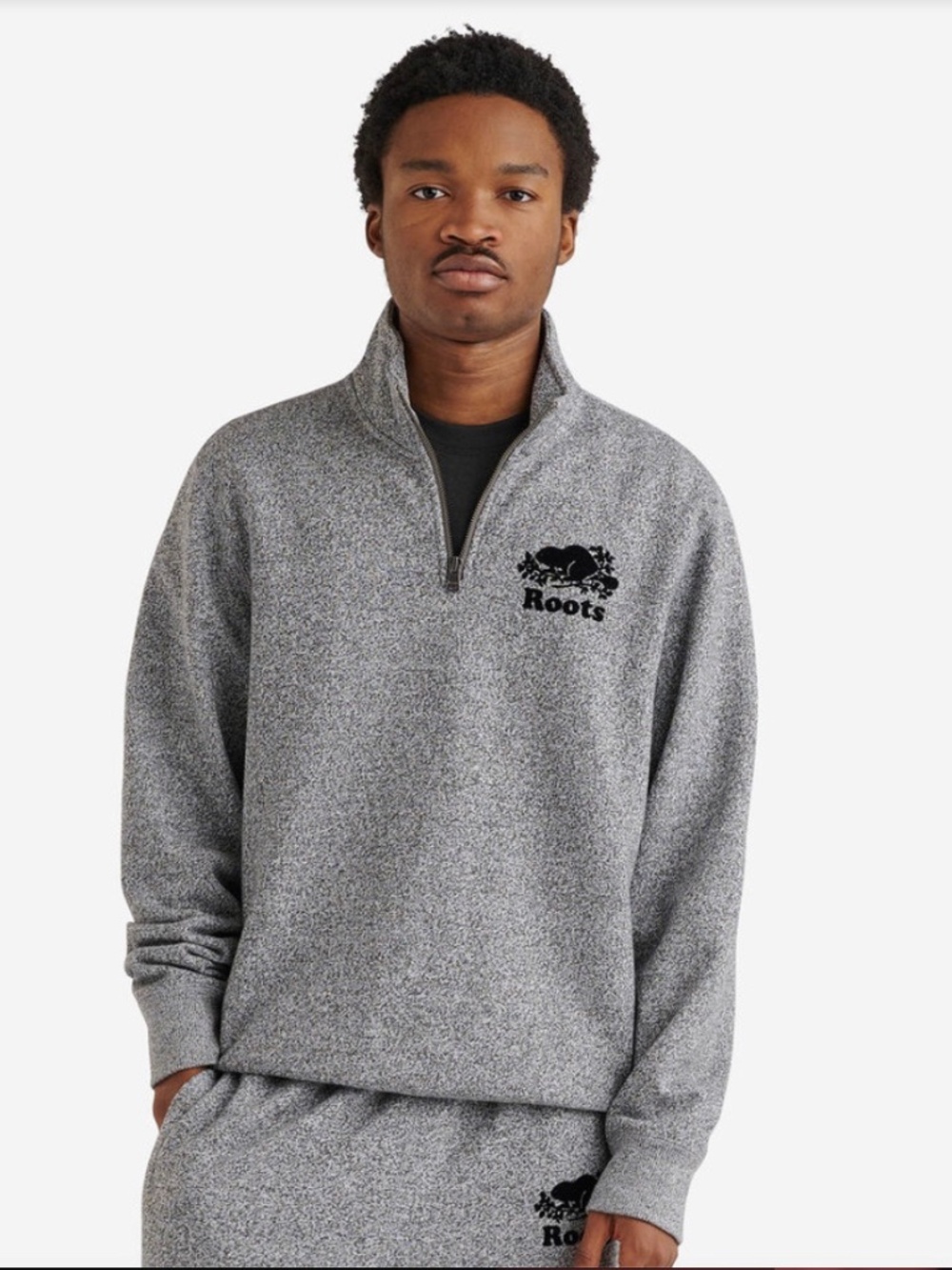 Roots Original Quarter Zip Stein